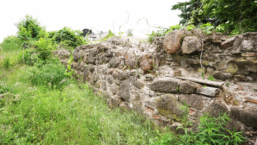 Überreste des Mauerwerks der alten Burg Grimnitz.